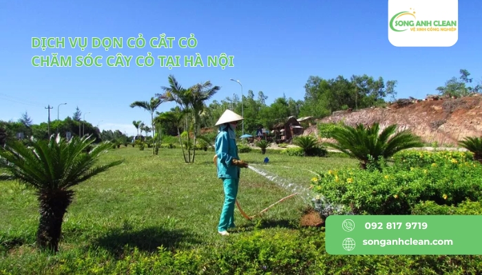 Dich-vu-don-co-cham-soc-cay-co-tai-Ha-Noi-uy-tin-chuyen-nghiep