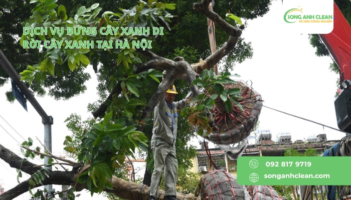 Dich-vu-bung-cay-xanh-di-roi-cay-xanh-tai-Ha-Noi