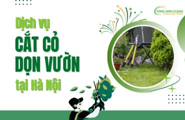 Dich-vu-cat-co-don-vuon-quang-phat-tai-Ha-Noi