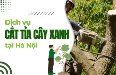Dich-vu-cat-tia-cay-xanh-tai-Ha-No