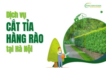 Dich-vu-cat-tia-hang-rao-tai-Ha-Noi