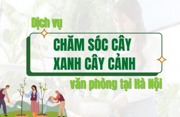 Dich-vu-cham-soc-cay-canh-van-phong-tai-Ha-Noi.