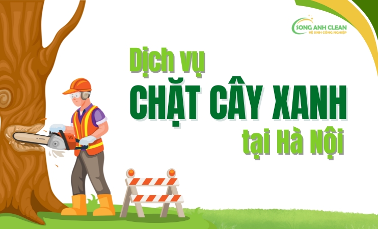 Dich-vu-chat-cay-xanh-tai-Ha-Noi-uy-tin-an-toan-chuyen-nghiep