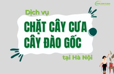 Dich-vu-chat-cua-cay-dao-goc.