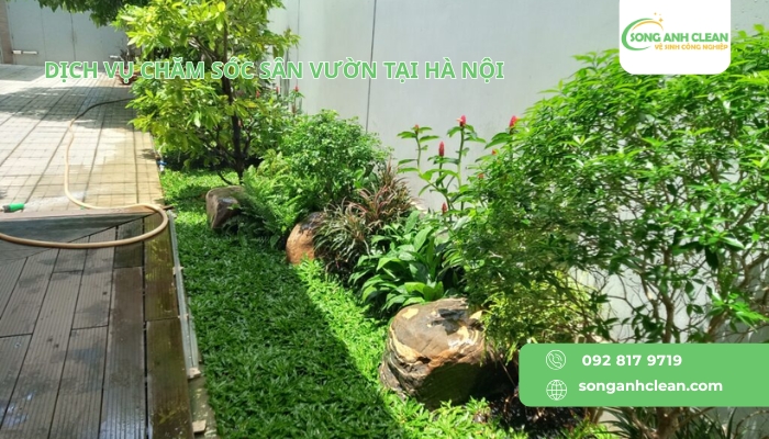 Dich-vu-cham-soc-san-vuon-tai-Ha-Noi-uy-tin-chuyen-nghiep