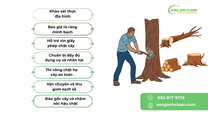 dich-vu-chat-cay-xanh-tai-ha-noi