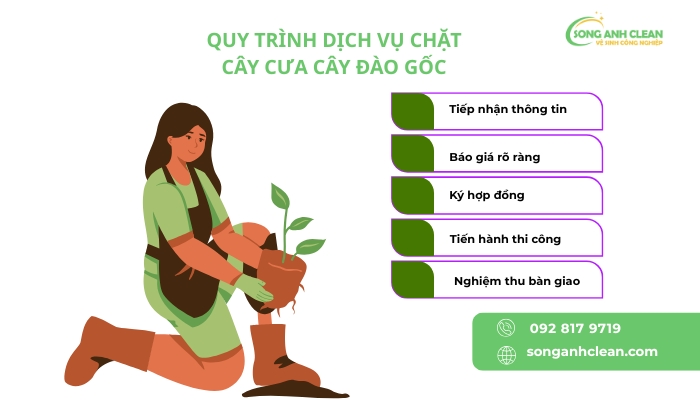 Dich-vu-chat-cay-cua-cay-dao-goc-tai-Ha-Noi-uy-tin-chat-luong.