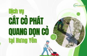 Dich-vu-cat-co-phat-quang-don-co-vuon-tai-Hung-Yen.