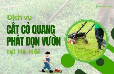 Dich-vu-cat-co-phat-quang-cua-SONGANHCLEAN-tai-Ha-Noi