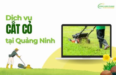 Dich-vu-cat-co-tai-Quang-Ninh
