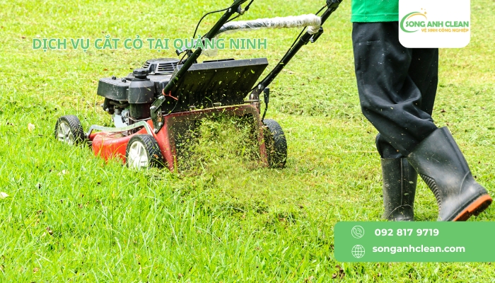 Dich-vu-cat-co-phat-quang-cua-SONGANHCLEAN-tai-Ha-Noi