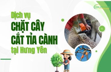 Dich-vu-chat-cay-cat-tia-canh-tai-Hung-Yen