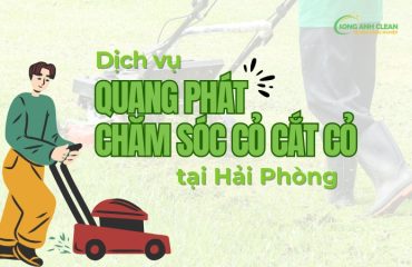 Quy-trinh-dich-vu-cat-co-cham-soc-co-quang-phat-co-tai-Hai-Phong