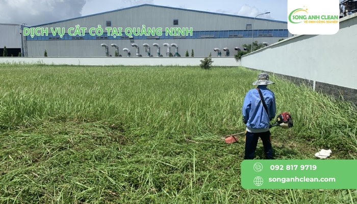 Dich-vu-cat-co-phat-quang-cua-SONGANHCLEAN-tai-Ha-Noi