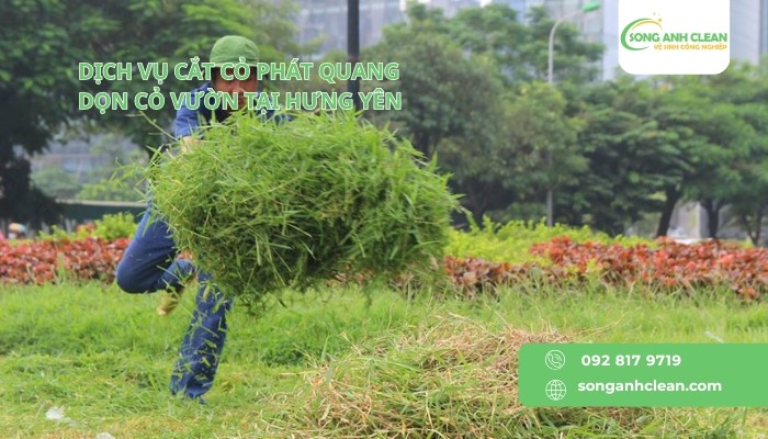 Dich-vu-cat-co-phat-quang-don-co-vuon-tai-Hung-Yen.