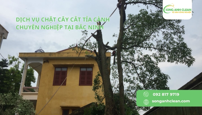 Dich-vu-chat-cay-tia-canh-chuyen-nghiep-tai-Bac-Ninh-uy-tin.