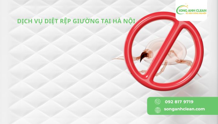Dich-vu-diet-rep-giuong-tai-Ha-Noi