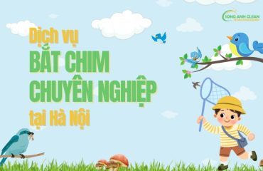 Dich-vu-bat-chim-tai-Ha-Noi-uy-tin-chuyen-nghiep