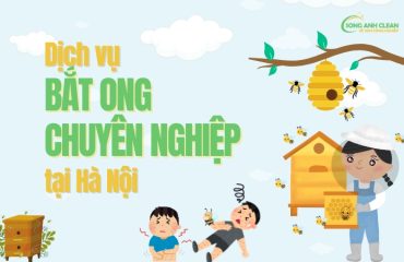 Dich-vu-bat-ong-uy-tin-chuyen-nghiep-tai-Ha-Noi