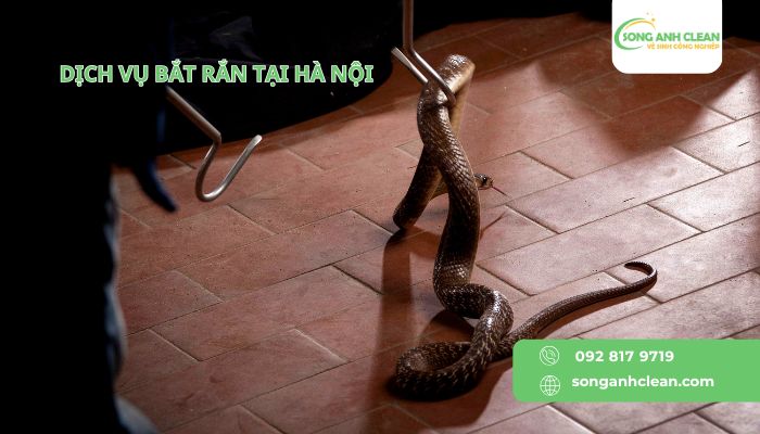 Dich-vu-bat-ran-tai-Ha-Noi-cua-SONGANHCLEAN