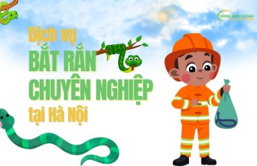 Dich-vu-bat-ran-tai-Ha-Noi-uy-tin-chuyen-nghiep