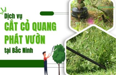 Dich-vu-cat-co-quang-phat-vuon-tai-Bac-Ninh