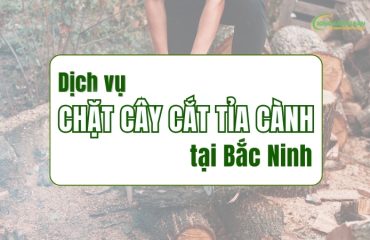 Dich-vu-chat-cay-cat-tia-canh-tai-Bac-Ninh