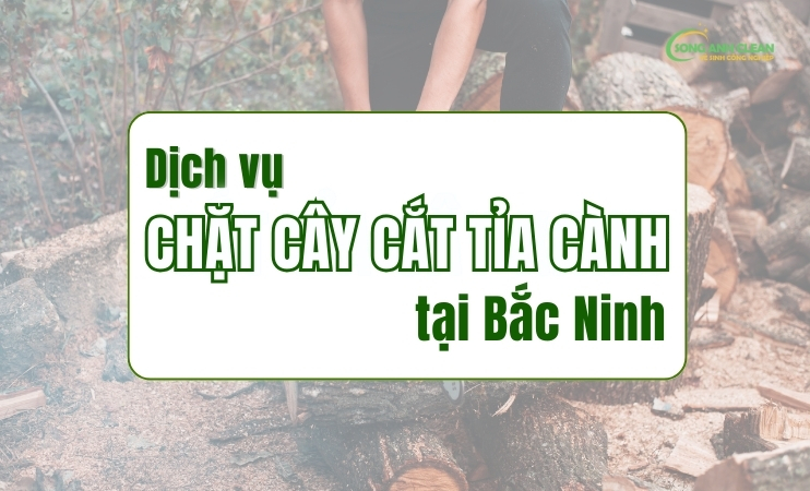 Dich-vu-chat-cay-cat-tia-canh-tai-Bac-Ninh