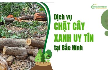 Dich-vu-chat-cay-xanh-tai-Bac-Ninh-uy-tin