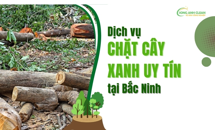 Dich-vu-chat-cay-xanh-tai-Bac-Ninh-uy-tin