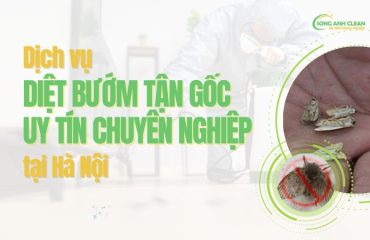 Dich-vu-diet-buom-tai-Ha-Noi-uy-tin-chuyen-nghiep