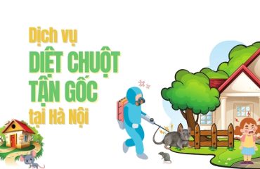 Dich-vu-diet-chuot-tan-goc-tai-Ha-Noi-uy-tin-chuyen-nghiep