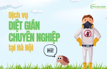 Dich-vu-diet-gian-tai-Ha-Noi.