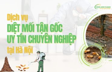 Dich-vu-diet-moi-tai-Ha-Noi-uy-tin-chuyen-nghiep