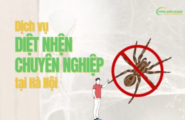 Dich-vu-diet-nhen-tai-Ha-Noi-uy-tin-chuyen-nghiep