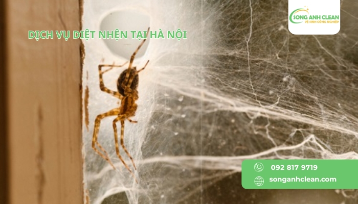 Dich-vu-diet-nhen-tai-Ha-Noi-uy-tin-chuyen-nghiep