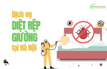 Dich-vu-diet-rep-giuong-tai-Ha-Noi