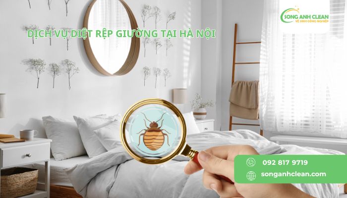 Dich-vu-diet-rep-giuong-tai-Ha-Noi