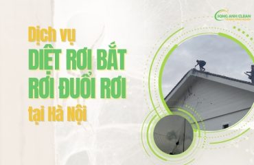 Dich-vu-diet-roi-bat-roi-duoi-roi-tai-Ha-Noi-uy-tin-chuyen-nghiep