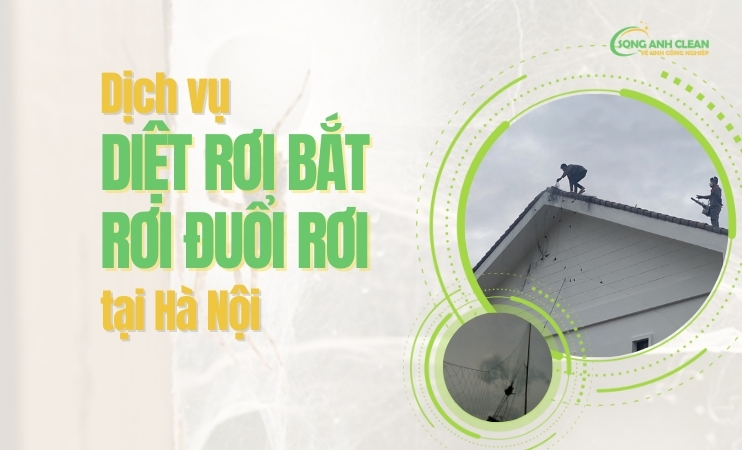 Dich-vu-diet-roi-bat-roi-duoi-roi-tai-Ha-Noi-uy-tin-chuyen-nghiep