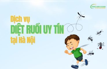 Dich-vu-diet-ruoi-uy-tin-tai-Ha-Noi