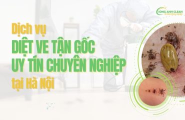Dich-vu-diet-ve-tai-Ha-Noi-uy-tin-chuyen-nghiep