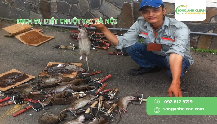 Dich-vu-diet-chuot-tai-Ha-Noi-uy-tin-chuyen-nghiep