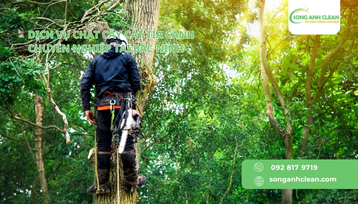 Dich-vu-chat-cay-tia-canh-chuyen-nghiep-tai-Bac-Ninh-uy-tin.