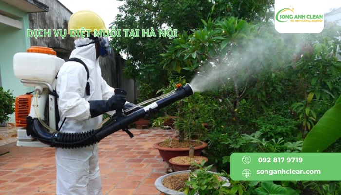 Dich-vu-diet-muoi-tai-Ha-Noi-cua-SONGANHCLEAN