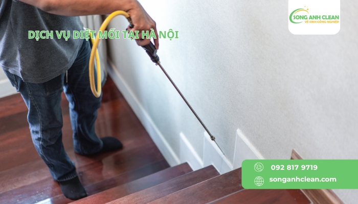 Dich-vu-diet-moi-tai-Ha-Noi-uy-tin-chuyen-nghiep