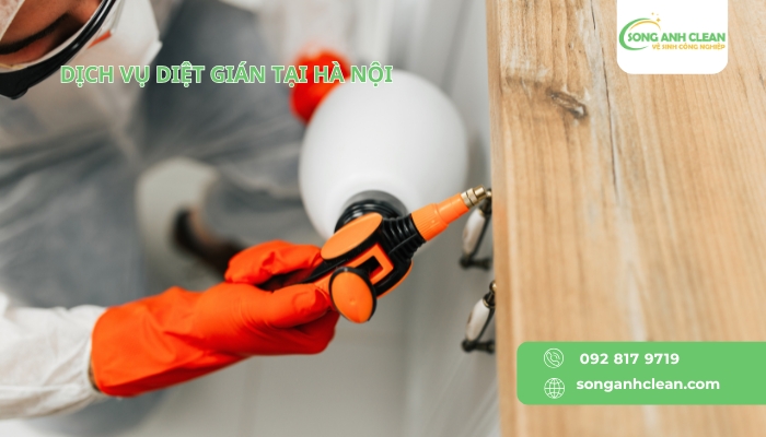 Dich-vu-diet-gian-tai-Ha-Noi.