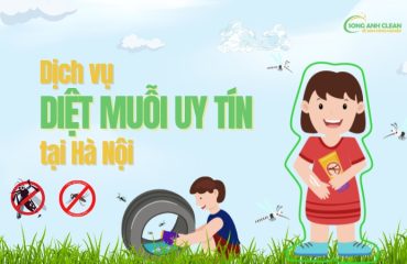 Dich-vu-diet-muoi-tai-Ha-Noi-cua-SONGANHCLEAN