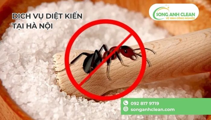 Cach-diet-kien-vinh-vien
