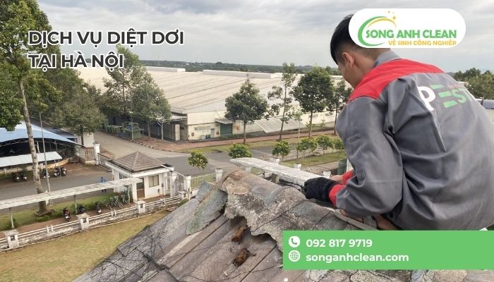 Loai-doi-so-nhat-mui-gi